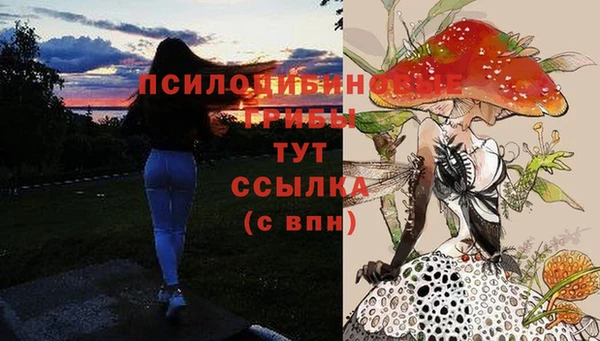 индика Алексин