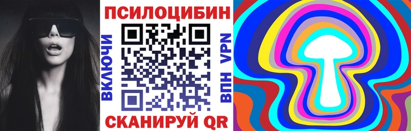 купить  цена  Урень  Псилоцибиновые грибы мицелий 